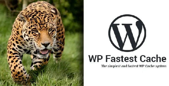WP Fastest Cache